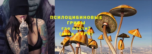 соль ск Сатка