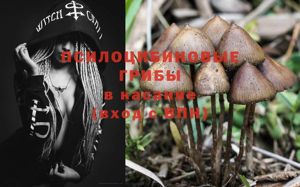 ECSTASY Саяногорск
