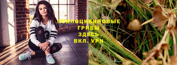 прущая мука Сафоново