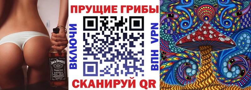 Галлюциногенные грибы Cubensis  Купить  Сурск 