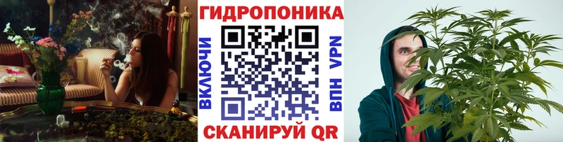Конопля план Сурск
